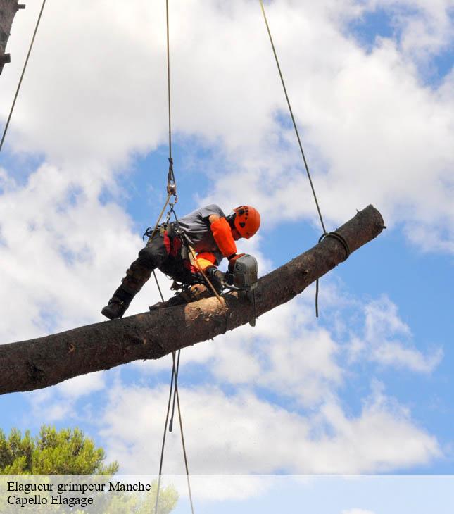 Elagueur grimpeur 50 Manche Capello Elagage