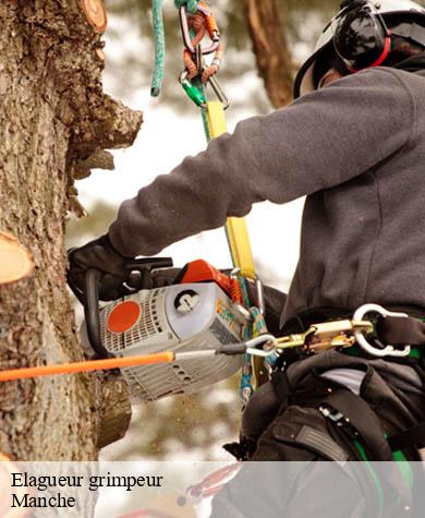 Elagueur grimpeur 50 Manche Capello Elagage