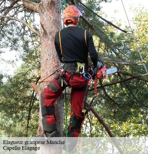 Elagueur grimpeur 50 Manche Capello Elagage